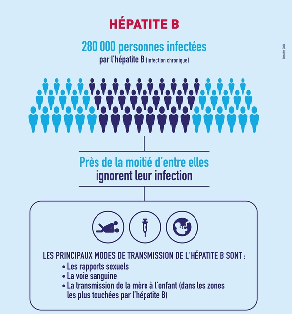 L’hépatite B – Relais VIH